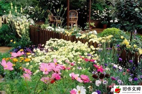 美丽的小花园 —— 写景小学生优秀日记周记作文500字